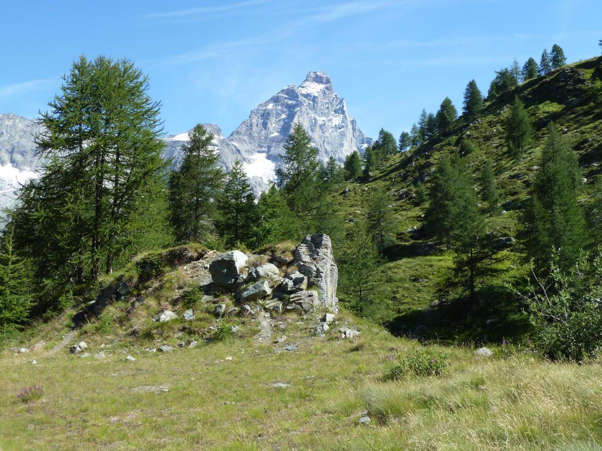 Le Petit Refuge Cervinia Lägenhet Breuil-Cervinia Exteriör bild