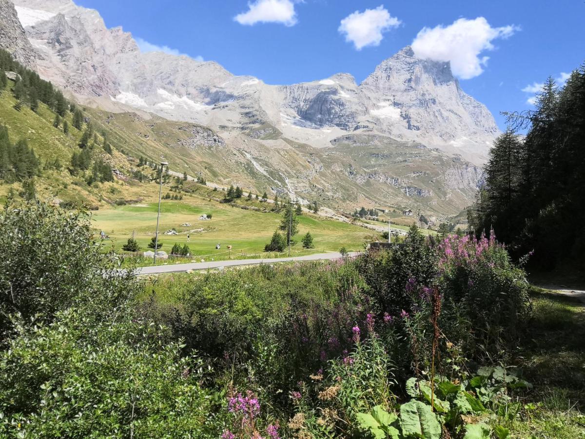 Le Petit Refuge Cervinia Lägenhet Breuil-Cervinia Exteriör bild