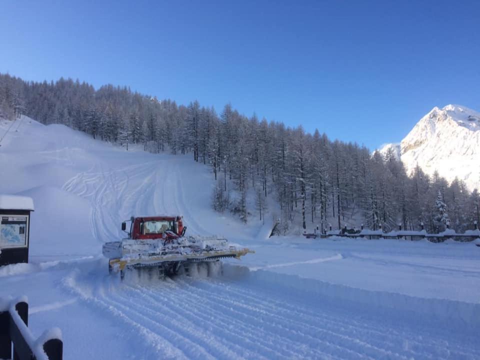 Le Petit Refuge Cervinia Lägenhet Breuil-Cervinia Exteriör bild