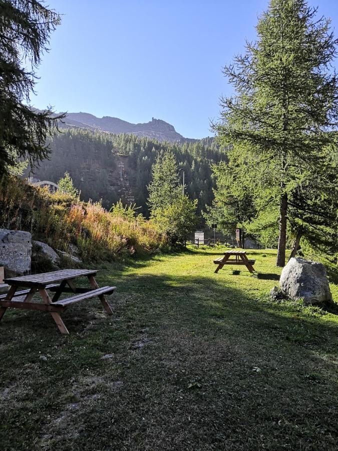Le Petit Refuge Cervinia Lägenhet Breuil-Cervinia Exteriör bild