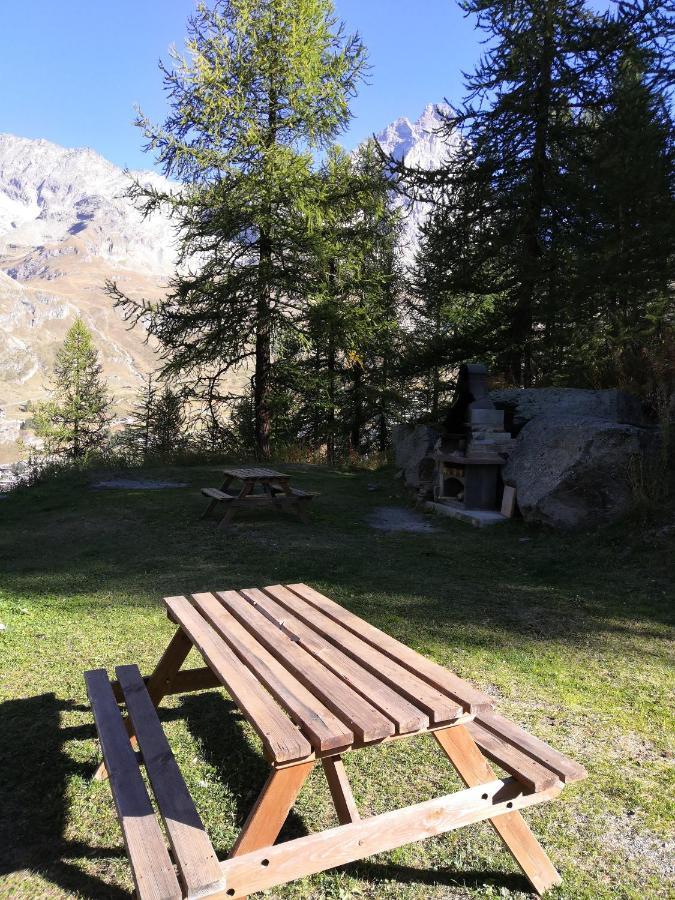 Le Petit Refuge Cervinia Lägenhet Breuil-Cervinia Exteriör bild