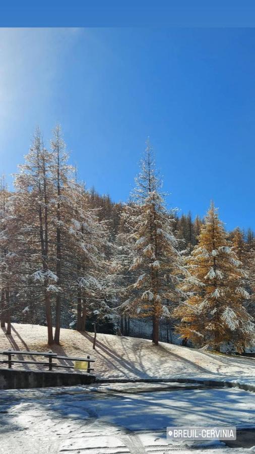 Le Petit Refuge Cervinia Lägenhet Breuil-Cervinia Exteriör bild