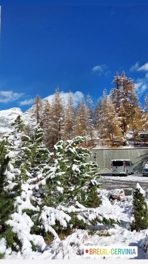 Le Petit Refuge Cervinia Lägenhet Breuil-Cervinia Exteriör bild
